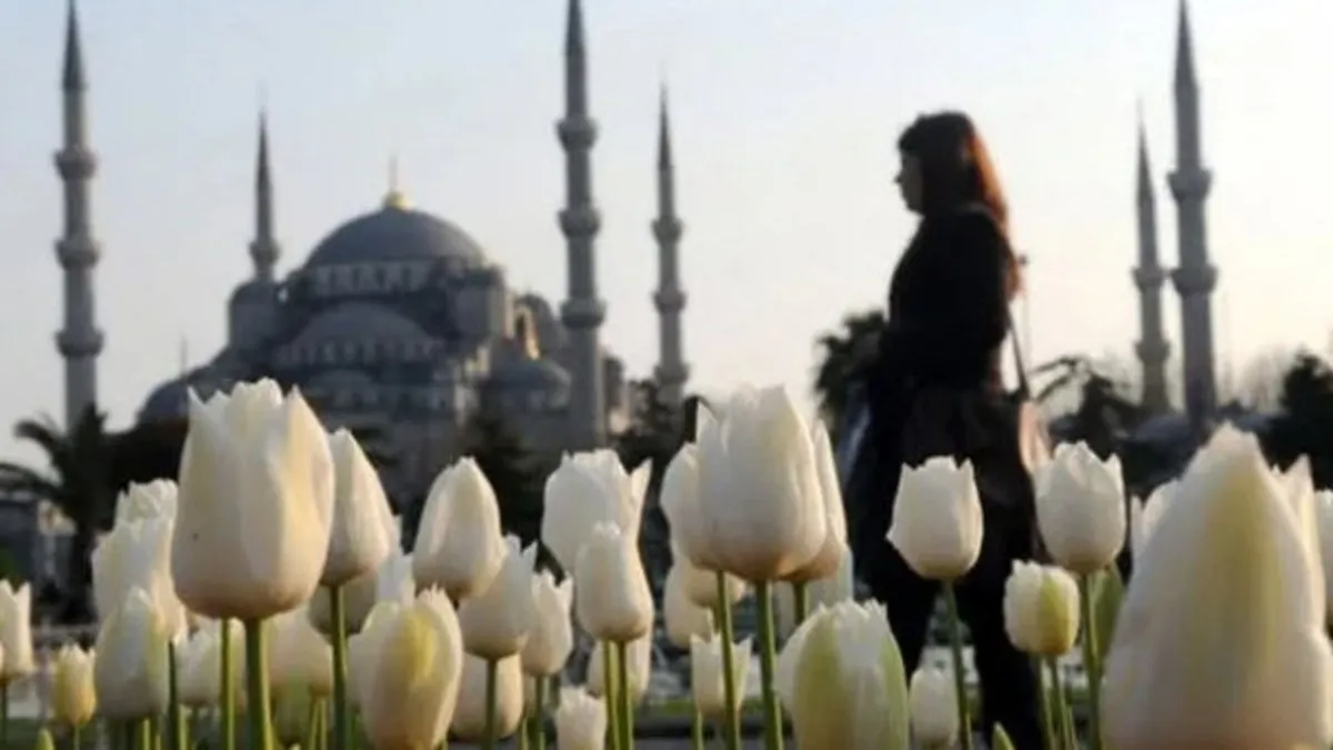 Çubuklu Korusu Nerede, Hangi İlçede? Çubuklu Korusu Yol Tarifi ile Nasıl Gidilir?